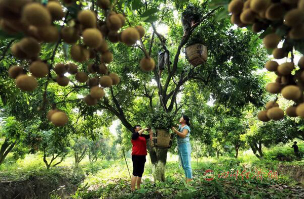 �Ĵ����ݹ�Բ������մ�Ϸ