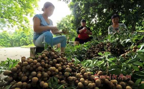 �Ĵ����ݹ�Բ������մ�Ϸ2