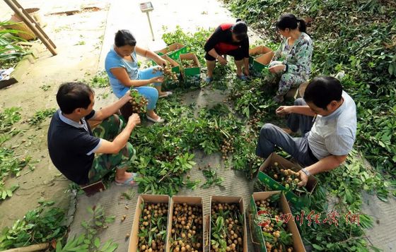 �Ĵ����ݹ�Բ������մ�Ϸ3