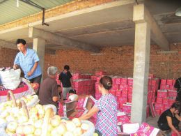 ɽ����ˮ�����Ϊ�β������ա�