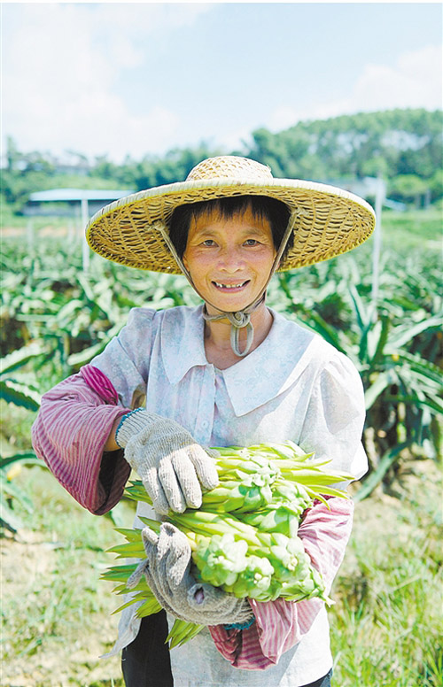 �㶫�����а��������������