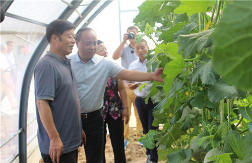 ��������μ������Э���д����ִ�ũҵ2