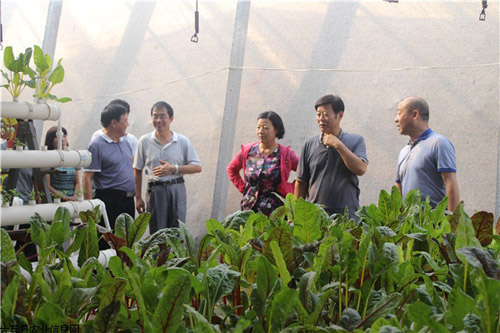 ��������μ������Э���д����ִ�ũҵ6