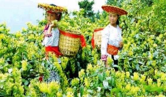 ����¡�ش���󽡿�ȫ��ҵ��ƽ̨ ������������ϣ��