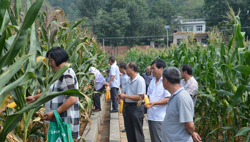 ����ɽ�����ٿ�������Ʒ��չʾʾ����Ħ��3