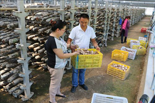 ����¤�أ���չ�޹���ũ��Ʒ��� ȷ��ũ��Ʒ������ȫ