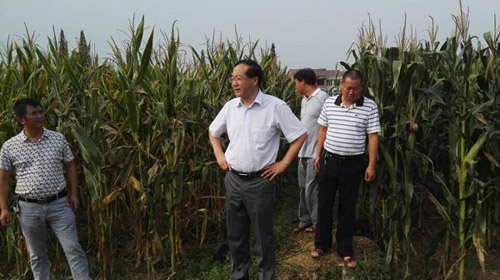 ���������������ϼ�ǿũҵ����ָ�� ȷ��������ʳ�������