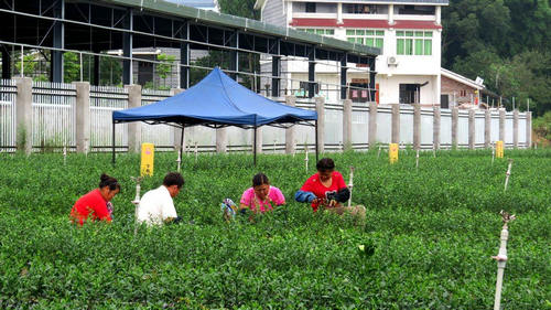 �Ĵ������ִ�ũҵʾ��԰������޽ӹ���ȫ�����