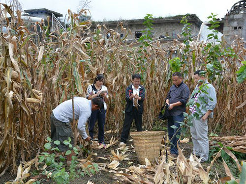 �Ĵ����������׸߲�������Ŀ˳��ͨ������