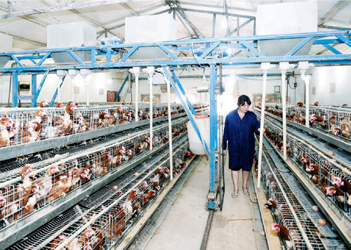 ɽ�����ط���������ֳרҵ��������Ͷ��180��Ԫ ��������������