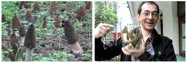 �Ĵ����������ҡ�863����Ǿ���Ŀ��ũ���ճ���Ч