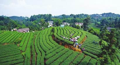 �����������Ĵ���Ϊ���조�й������֮����