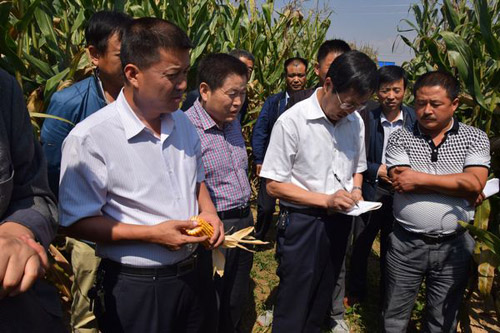 �������������������ӹ���վ��������г�ִ������Ʒ������2