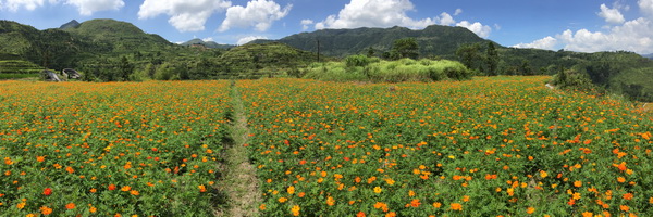 �㽭����С��ɽ���򻪾�ʢװ�ǳ�