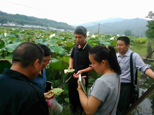 ����ˮ���߲���ϯר�ҵ�������������