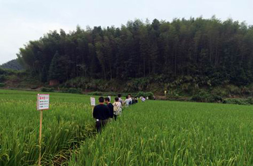 ����̩�����ٰ�ˮ��Ʒ�ֹ�Ħ�ֳ���