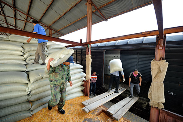 2015ȫ�������ƿ����ڼ��ֳ�������