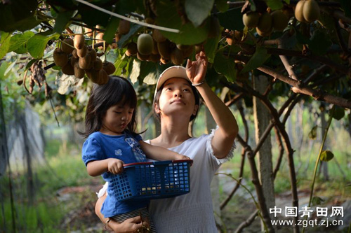 �㽭������������ʾ���ͥũ�����غ���⨺��ҽ����ժ��