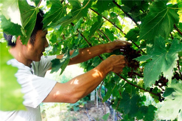 �㽭�ɾ������硰��족���ӳ�������