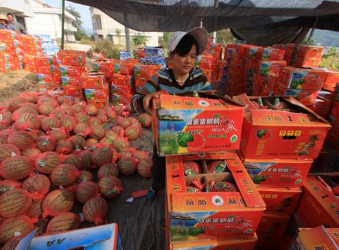 �����������ִ�ũҵ�������񡰺�������