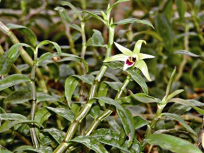 �㽭��Ƥʯ����ҵ��ֵռ��ȫ���߳�����