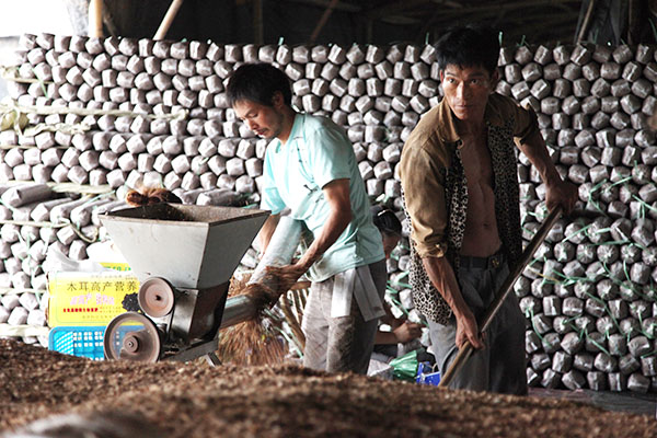 �㽭̨���л���������ľ����ˮ��ͬʱ���ɳ��� ���������ڴ���������