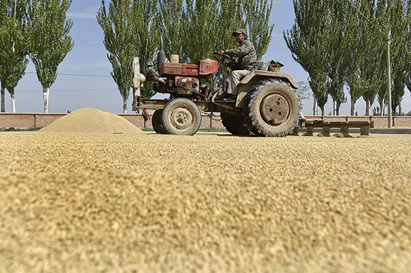 2015����ũ�ѿ�������ȫ�濪ʼ