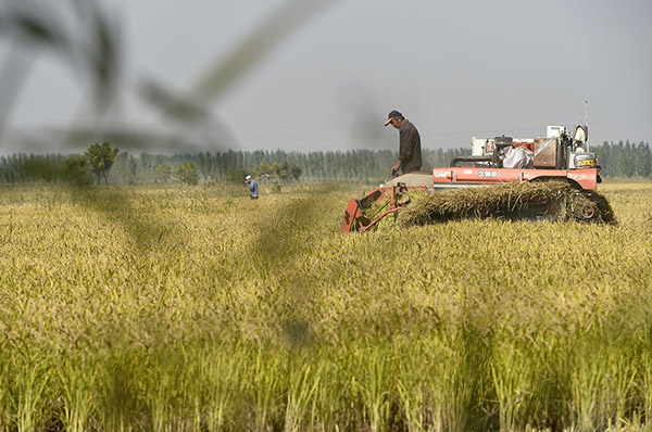 9��26�գ�����ũ������ũ��ְ���ڼ�ʻ�ո���ո�ˮ����