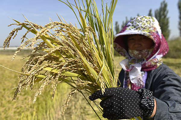 9��26�գ�����ũ������ũ��ְ�����ո�ˮ����