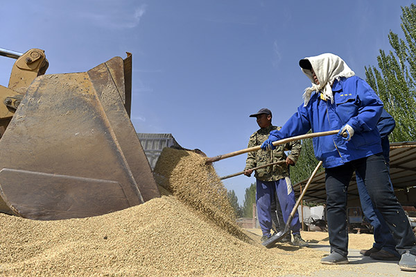 9��26�գ�����ũ������ũ��ְ�������ջ�ĵ��Ƚ����ﳡ��ɹ��