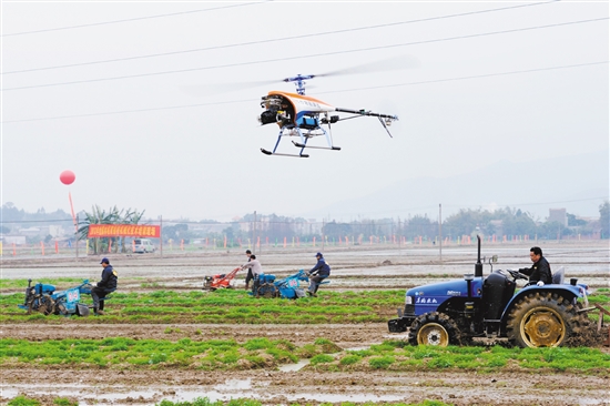 �㶫�����С�ʮ���塱�ִ�ũҵΪ��չ����