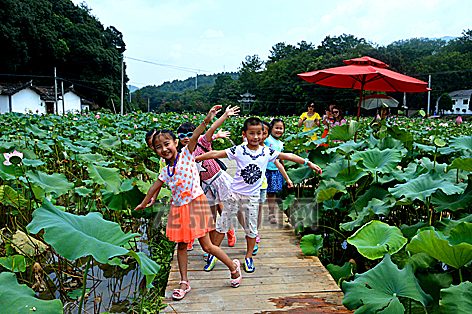 �㽭��������ͷ��ĺɻ����ر�Ҷ����