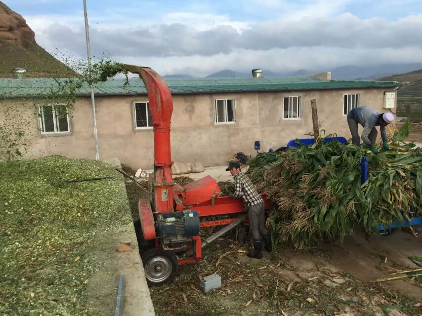 ���Ĺ�ԭ��ԭ����ȫ��������������ʱ