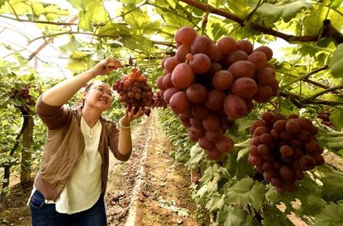 ����ط��ռ��ڵ� ǧĶ������������