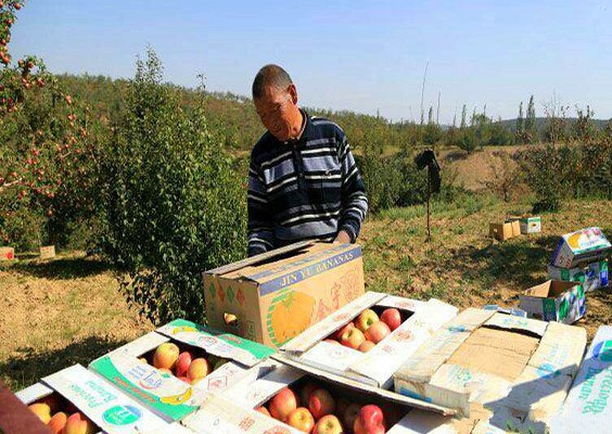 ɽ������ɳ���ݴ�ƻ�����ũ��ϲ