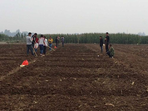 �����ɽ��ũ����Ա�����󣬷�ս�ﲥ��ս��