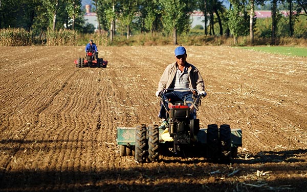 �����ﲥ����ȫ��չ��