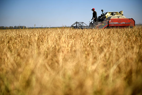 ���ģ����Ͻ������æ