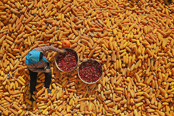 �����к�����ϰ�������������㷼���Լ�Ժ������������10��10���㣩��