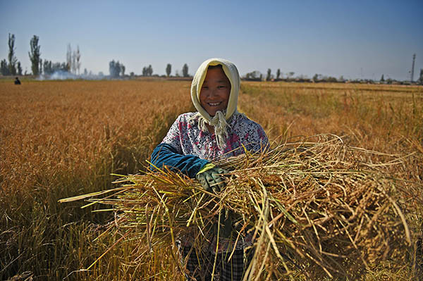 ���������к����س������Ž���������ϼ���Ÿ��ո��ˮ����10��10���㣩��