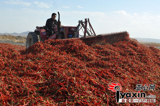 10��13�գ�ɳ���ؽ𹵺����˷ܴ��ѧ�ڽ����߽��Ѷ⡣