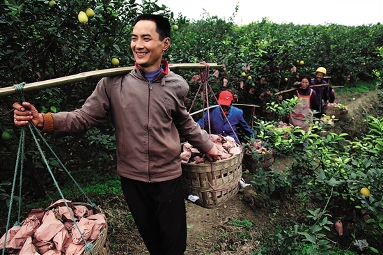 �Ĵ��ڽ�ũҵ��ҵ����Ϊũ�����տ������š�