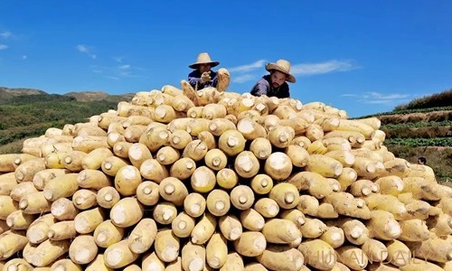 ���ϡ�ɣֲ�ܲ�������