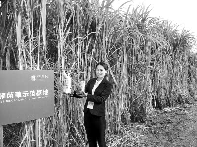 6000Ķ���ݱ���ͨ������