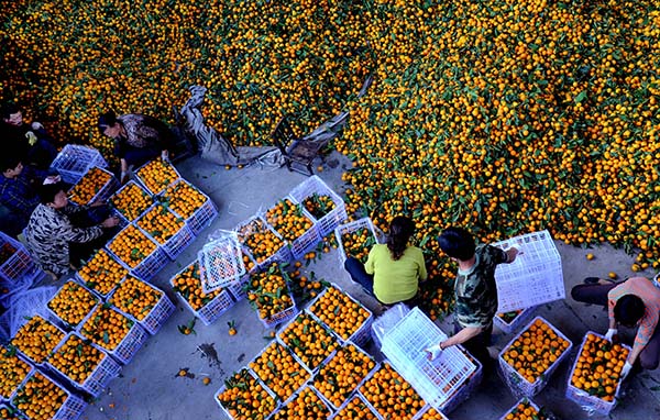 �����ṇ̀��̽���ֲ��ũ��