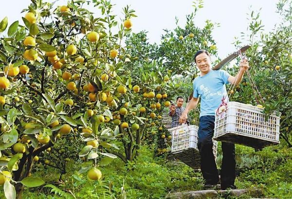 �Ĵ�������������ɽ�º족����ϲ�����