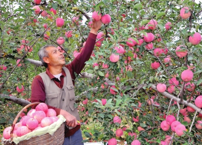 ɽ��ʡ���غ�ϼ��԰����Ũ