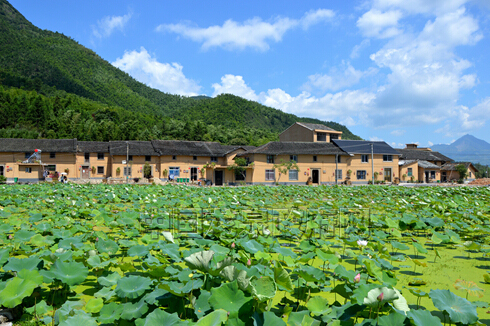 �㽭��Ȫ������Ȼ��ɻ���������