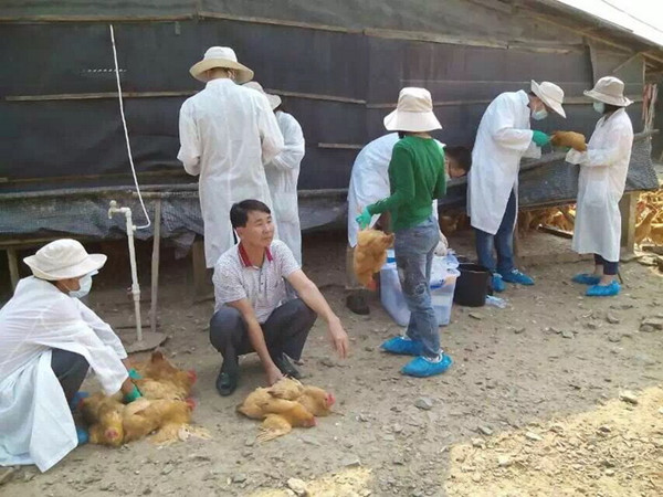 �㶫�����п�չ����������