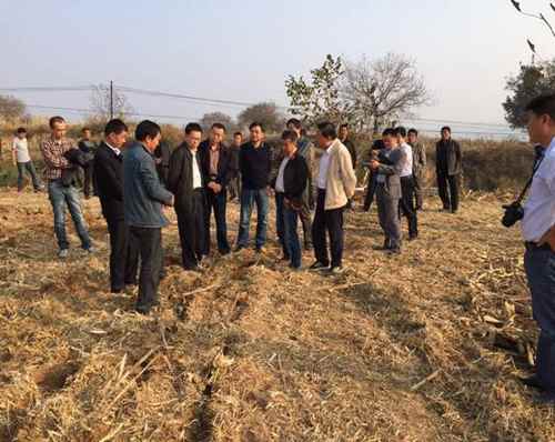 ũҵ���������ع��������鵽ɽ���ٷ��ж�������